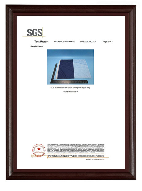 sgs certificator, en71,azo free,low cadmium,cpsia standard for us market (6)