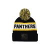 beanie with cuff and pompom (1)