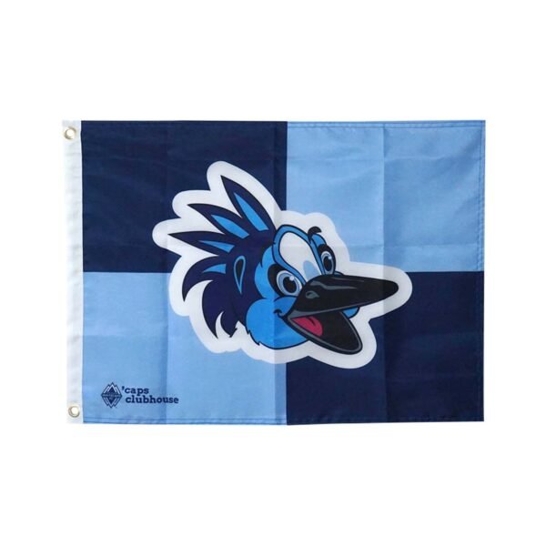 promotional quality banner large flag (3)