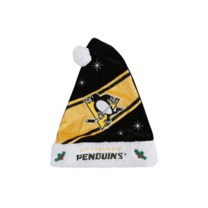 pittsburgh penguins santa hat