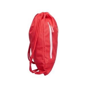 fc bayern drawstring bag