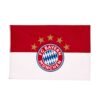 3 x 5' team flag with grommets (复制)