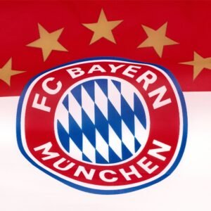 fc bayern 12x18 rally hand flag with stick