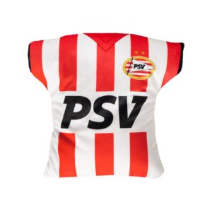 psv transforming pillow