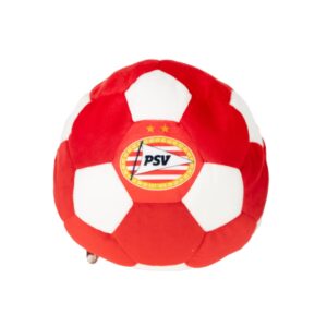 psv transforming pillow