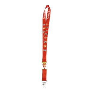 rcde 1900 lanyard (复制)