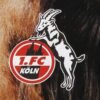 fc köln door handle hanging