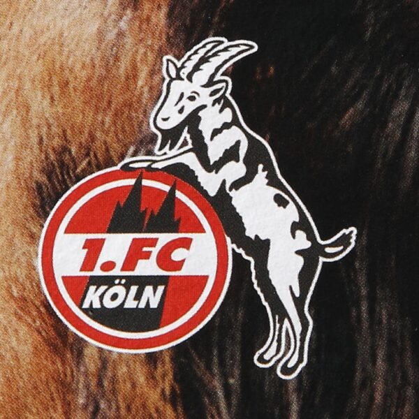 fc köln door handle hanging