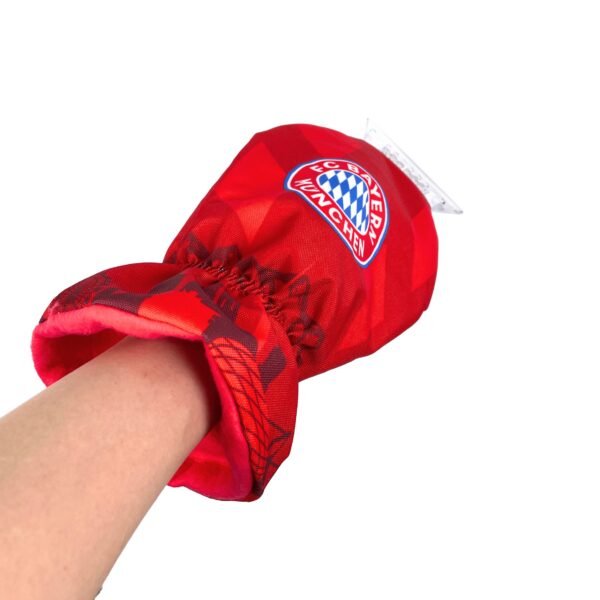 car windshield scraper