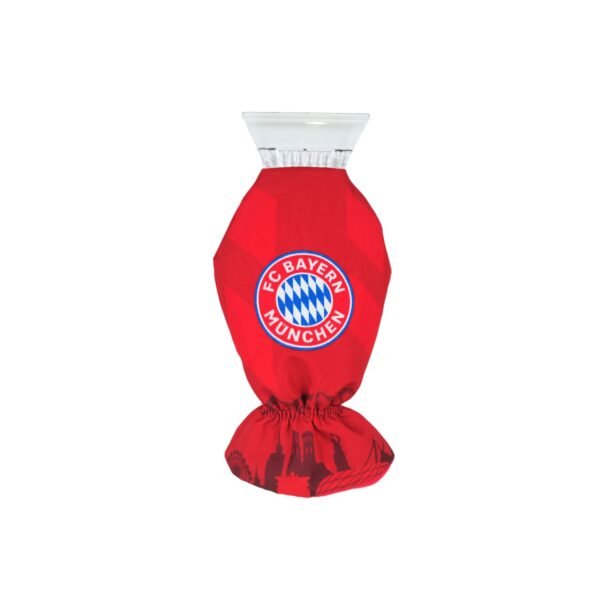 car windshield scraper